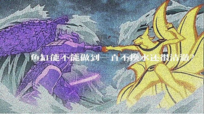 鱼缸能不能做到一直不换水还很清澈？