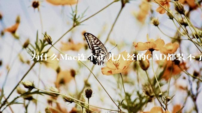 为什么Mac连个正儿八经的CAD都装不了还敢打着生产力的旗号？